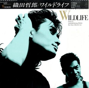 A00333144/12" / Tetsuro Oda (WHY, SPINACH POWER, Nagisa no All Stars) 'Wildlife (1987, 18AH-2149)'