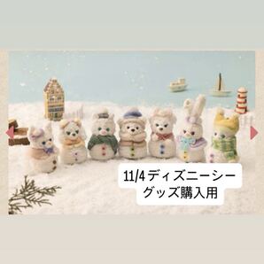 11/4 グッズ購入専用チケット ディズニーシー