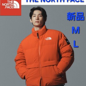 THE NORTH FACEノースフェイス ダウンジャケット 新品未使用 防寒L