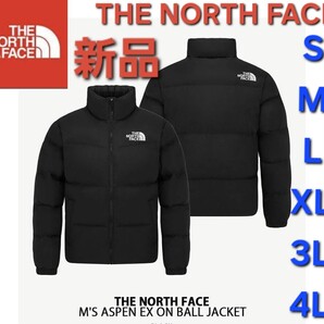 THE NORTH FACEノースフェイス中綿ダウンジャケット新品アウター S