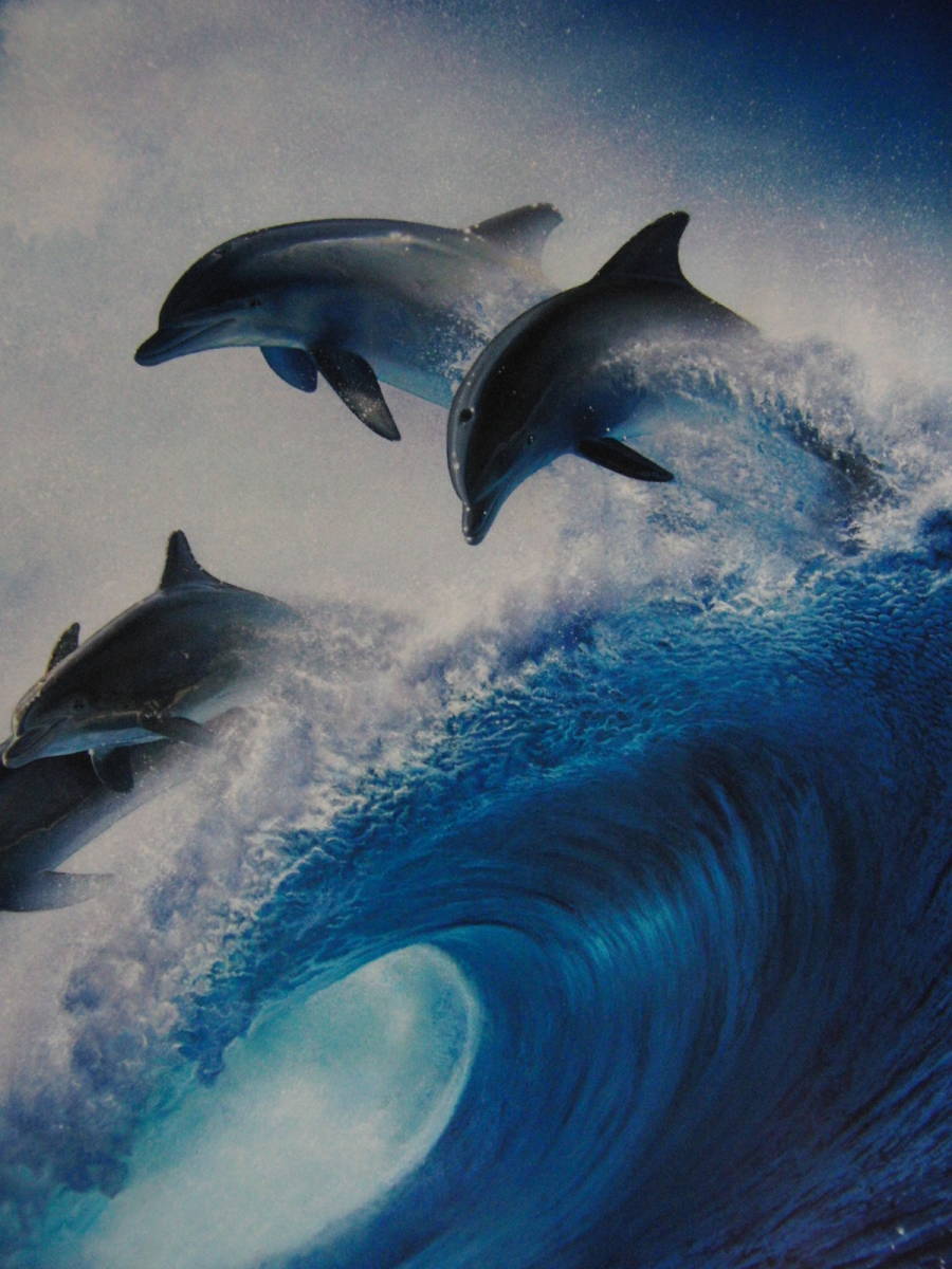 2025年最新】Yahoo!オークション -ラッセン 絵画 ラッセン(油彩