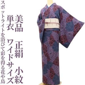 【ゆめsaku】美品 単衣 正絹 着物 ワイドサイズ“スポットライトを浴びて彩を得る花や鳥”小紋 K-25
