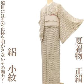 【ゆめsaku】夏着物 正絹 絽“遠目にはまだ正体を明かさない風を感じるその魅力!”小紋 D-43