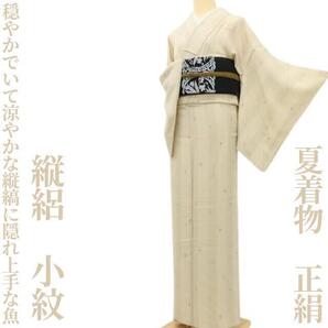 【ゆめsaku】縦絽 夏着物 正絹“穏やかでいて涼やかな縦縞に隠れ上手な魚”小紋 D-73