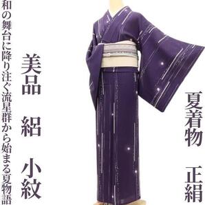【ゆめsaku】美品 夏着物 正絹 絽“和の舞台に降り注ぐ流星群から始まる夏物語”小紋 K-34