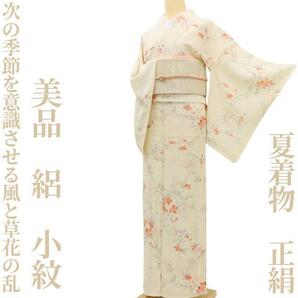 【ゆめsaku】美品 夏着物 正絹 絽“涼を感じ、次の季節を意識させる風と草花の乱”小紋 K-52