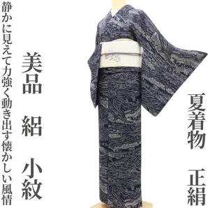【ゆめsaku】美品 夏着物 正絹 絽“静かに見えて力強く動き出す懐かしい風情”小紋 U-22