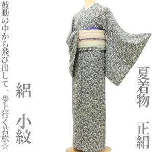 【ゆめsaku】夏着物 正絹 絽“深く静かな鼓動の中から飛び出して一歩上行く若松☆”小紋 U-95