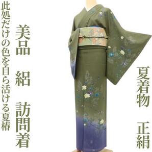 【ゆめsaku】美品 夏着物 正絹 絽“此処だけの色を自ら活ける夏椿”訪問着 E-50