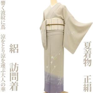 【ゆめsaku】夏着物 正絹 絽“涼やかに響く波紋に芦や蔦、涼をとり涼を運ぶ大人の華”訪問着 E-95