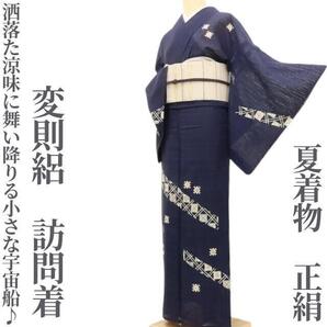 【ゆめsaku】変則絽 夏着物 正絹“洒落た涼味に舞い降りる小さな宇宙船♪”訪問着 U-79
