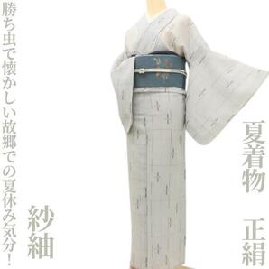 【ゆめsaku】夏着物 正絹“田んぼを飛ぶ勝ち虫で懐かしい故郷での夏休み気分!”紗紬 I-36