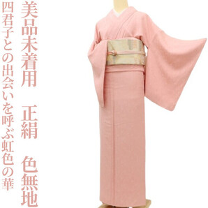 【ゆめsaku】美品未着用 正絹 着物“四君子との出会いを呼ぶ虹色の華”色無地 D-12