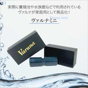 水槽の水が綺麗になります【ヴァルナ8㎝】水替え不要で透明度を抜群に保ちます!有害物質や病原菌も強力抑制!魚が元気に長生きします!