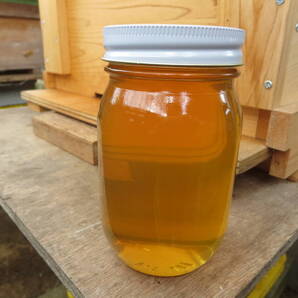 奈良県産西洋はちみつ【内容量1.2kg】自家養蜂「国産・純粋・百花蜜」令和7年6月採密