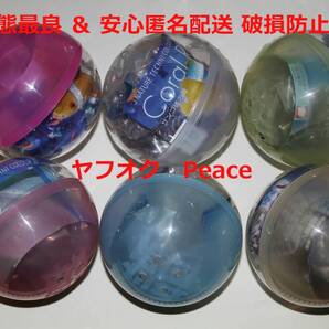 状態最良 & 安心匿名配送 破損防止梱包 ニシキエビ サンゴ礁の海 等 フルコンプ6種 鳥羽水族館立体コレクション3 ネイチャーテクニカラー