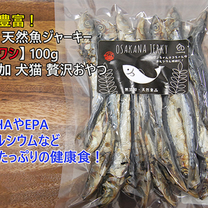 栄養たっぷり!国産 天然魚ジャーキー 【マイワシ】100g 無添加 犬猫/おやつ ②