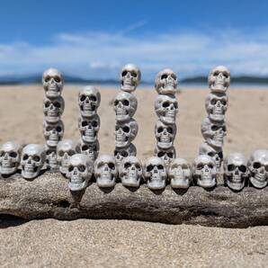 ドクロ スカル ミニサイズ 小さい ガイコツ 30個入り お化け屋敷 小道具 ハロウィン 小物 飾り ドリームチャンネル