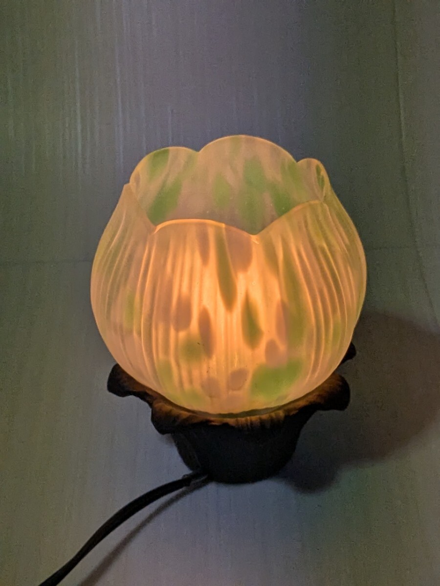 2025年最新】Yahoo!オークション -ランプ ホヤの中古品・新品・未使用