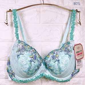 新品 トリンプ レッドレーベル バイ 天使のブラ 魔法のハリ感 ブラジャー B75 薄ブルー