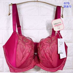 新品 トリンプ 天使のブラスリムライン ブラジャー G75 訳あり