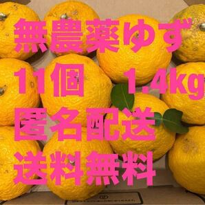 匿名配送★大好評★新鮮 無農薬 柚子 約1.4kg 11個 即日発送 冬至 柚子湯 ゆず 群馬県産 即決価格 柚子ジャム、柚子みそ 本柚子