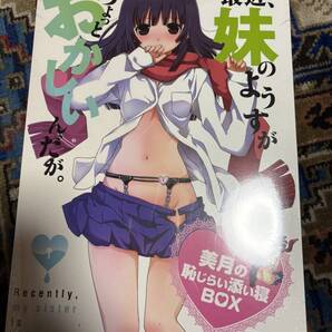 最近、妹のようすがちょっとおかしいんだが。 美月の恥じらい添い寝BOX 未開封品