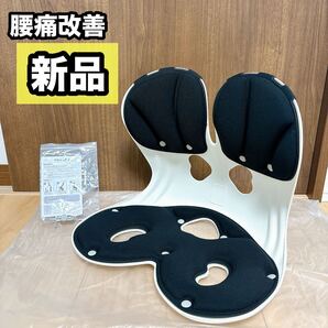 理学療法士お勧め★姿勢矯正 椅子 姿勢サポートチェア 骨盤矯正 姿勢改善 黒 カーブルチェア 骨盤サポートチェア 猫背改善 腰痛改善