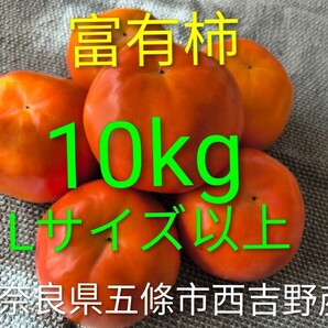 柿の王様 富有柿 10kg‐L以上 奈良県五條市西吉野産7