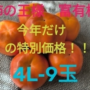 超特大! 柿の王様 富有柿 4L-9玉(秀) 奈良県五條市西吉野産2