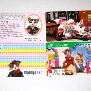 【なめ猫 パロディ ブロマイド 4枚セット②】なめんなよ猫 なめねこ まとめ売り 癒し 癒やし かわいい 可愛い 猫 ネコ キャラクター