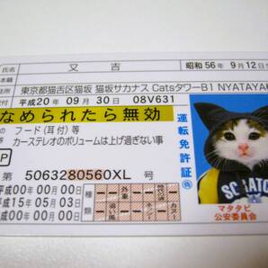 【なめ猫 免許証風 ブロマイド 又吉】なめんなよ猫 なめねこ 癒し 癒やし 金 かわいい 可愛い 猫 ネコ コスプレ ゴールド免許 トレカ