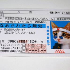なめ猫 免許証風 ブロマイド 又吉】なめんなよ猫 なめねこ ブルー免許 癒し かわいい 可愛い 猫 ネコ キャラクター コスプレ トレカ 癒し系