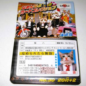 新品【なめ猫 カード 22枚】A なめんなよ なめねこ 猫 ねこ なめんなよ猫 かわいい 可愛い 癒やし 癒し 癒し系 猫写真 まとめ売り