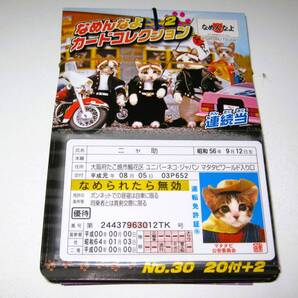 新品【なめ猫 カード 22枚】B なめんなよ なめねこ 猫 ねこ なめんなよ猫 かわいい 可愛い 癒やし 癒し 癒し系 猫写真 まとめ売り