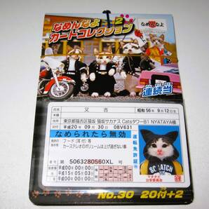 新品【なめ猫 カード 22枚】C なめんなよ なめねこ 猫 ねこ なめんなよ猫 かわいい 可愛い 癒やし 癒し 癒し系 猫写真 まとめ売り