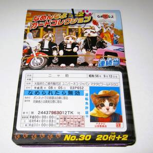 新品【なめ猫 カード 22枚】E なめんなよ なめねこ 猫 ねこ なめんなよ猫 かわいい 可愛い 癒やし 癒し 癒し系 猫写真 まとめ売り