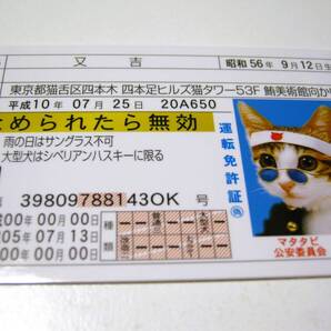 【なめ猫 免許証風 ブロマイド 又吉】なめんなよ猫 なめねこ ゴールド免許 癒し かわいい 可愛い 猫 ネコ コスプレ トレカ 癒し系