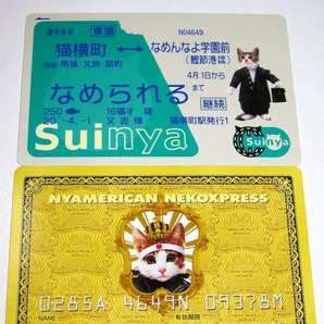 なめ猫 パロディ ブロマイド クレカ風 スイカ風】可愛い なめんなよ猫 なめねこ 癒し 癒やし かわいい 猫 ネコ ゴールドカード Suica