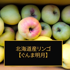 ★北海道産リンゴ【ぐんま名月】甘さが評判の人気品種 訳あり品 約5キロ