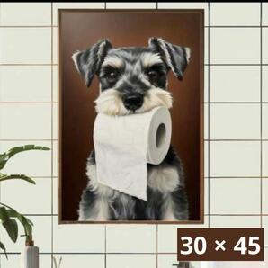 シュナウザー 犬 アート トイレ 洗面所 壁掛け 北欧 おしゃれ ポスター