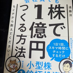 【値下げ 一点限定送料込】お金知識ゼロ!普通の会社員でも株で1億円つくる方法をイチから教えてください!