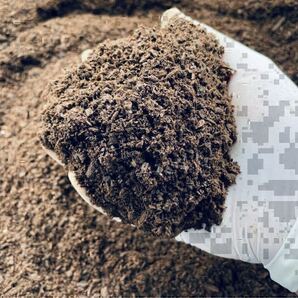 11月26日以降発送【PARTNER】カブトマット(10L袋×5袋)送料込み②