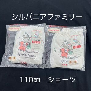 送料込◆レトロ◆グンゼ◆ショーツ2枚◆110㎝◆シルバニアファミリー◆参考年齢4〜5才◆ 肌着◆1989年◆バックプリント◆下着◆ ジュニア