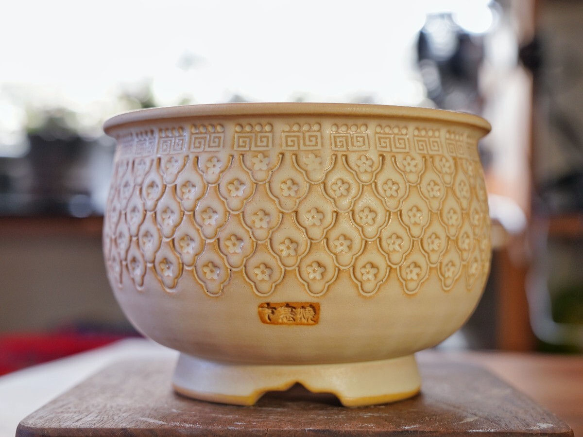 2025年最新】Yahoo!オークション -valiem鉢の中古品・新品・未使用品一覧