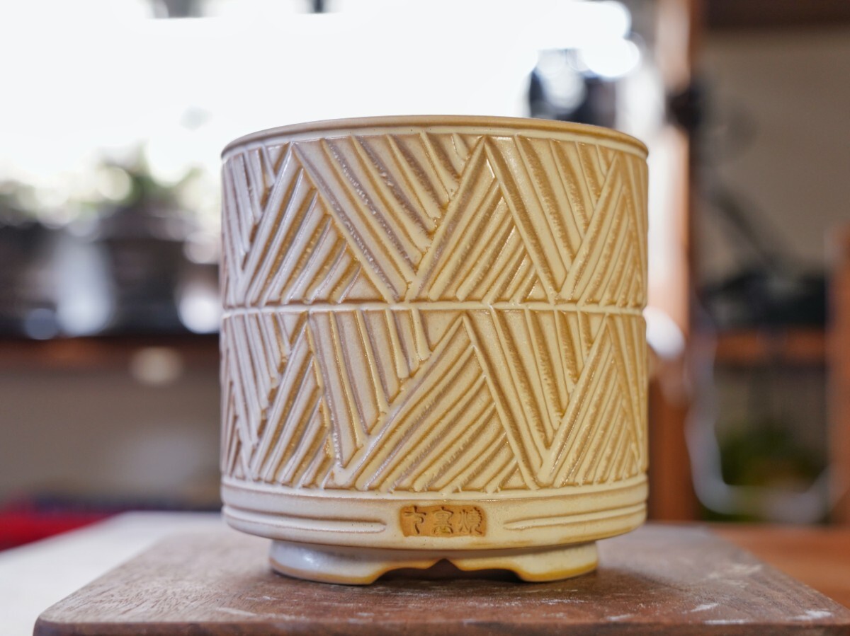 2025年最新】Yahoo!オークション -valiem鉢の中古品・新品・未使用品一覧