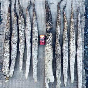 栃木県産 自然薯 800g 真空パック