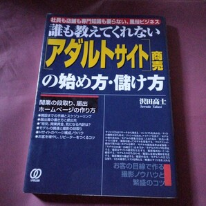 誰も教えてくれない〈アダルトサイト〉商売の始め方・儲け方 社員も店舗も専門知識も要らない、風俗ビジネス 沢田高士/著