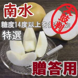 【特選贈答】梨”南水”糖度14度以上 秀 4.5kg入数10玉 長野県みなみ信州まつかわ町産地直送 新高 にっこり梨 新興梨 秋月 王秋 豊水 a1