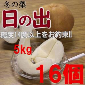 【送料込み】冬の梨”日の出” 糖度14度以上 5kg入数16玉 〇秀 中玉 長野県みなみ信州まつかわ町産地直送 梨 南水 にっこり梨 新興梨 p1